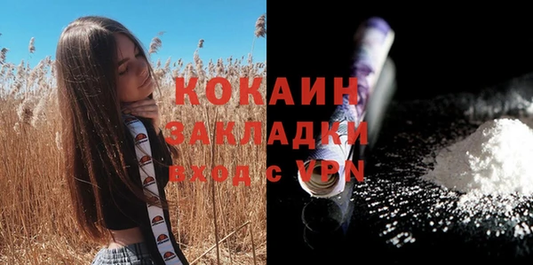молекула духа Арсеньев