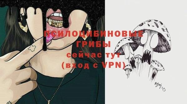 ГАЛЛЮЦИНОГЕННЫЕ ГРИБЫ Армянск