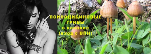 молекула духа Арсеньев