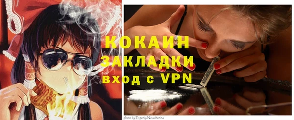 молекула духа Арсеньев