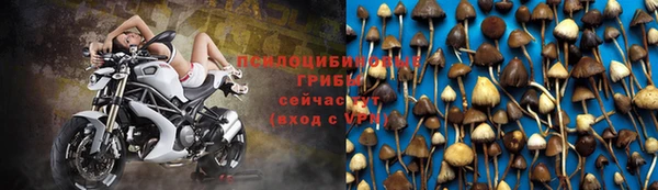 молекула духа Арсеньев