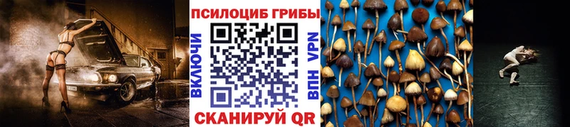 OMG   Завитинск  Галлюциногенные грибы Magic Shrooms 